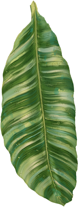 Peachy Banana Leaves Tropical Greenery Homey Image - Tropical Leaves Transparent Png (350x700)