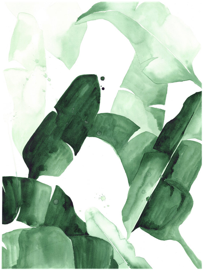 Image Result For Banana Leaf Png - Tropical Leaf Watercolor Png (464x600)