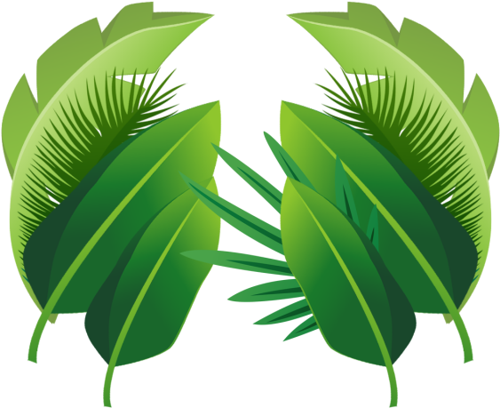 Plant Tropical Leaves, Plant, Tropical, Leaves Png - Transparent Background Tropical Palm Leaves Png (640x640)