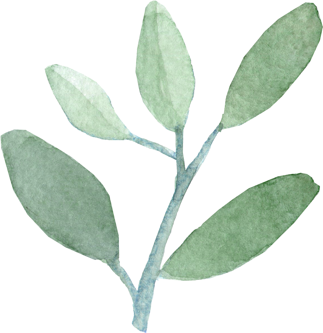 Watercolor - Png Watercolor Leaves (1145x1182)