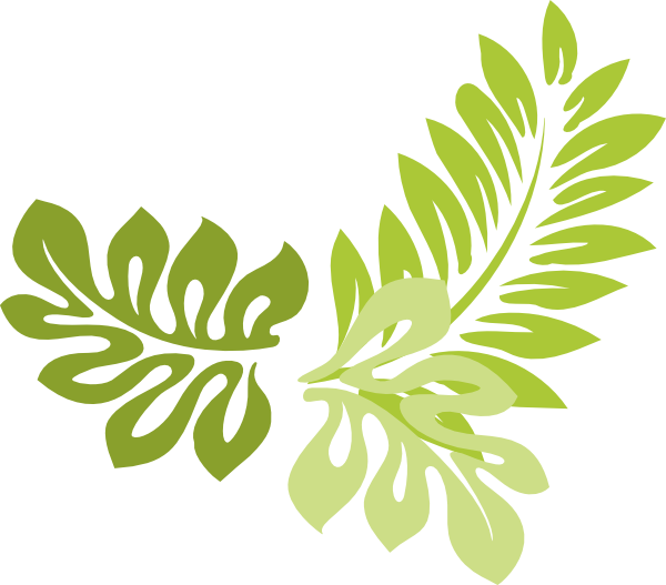 Png Jungle Leaf Transparent Jungle Leaf - Leaf Border Clip Art (600x527)