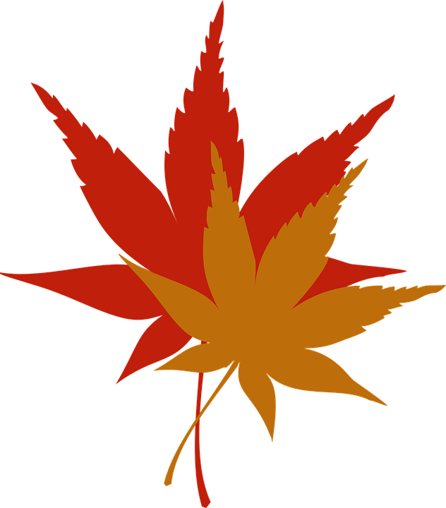 Orange Leaves Cliparts 21, Buy Clip Art - Fall Leaves Clip Art (632x720)