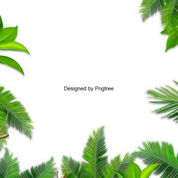 Leaves Palm, Leaves Palm, Leaf, Palm Png And Vector - Leaf (360x360)