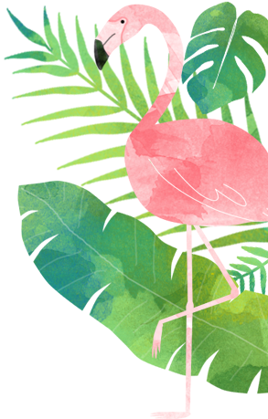 Capitão Zeferino - Tropical Flamingo (292x476)
