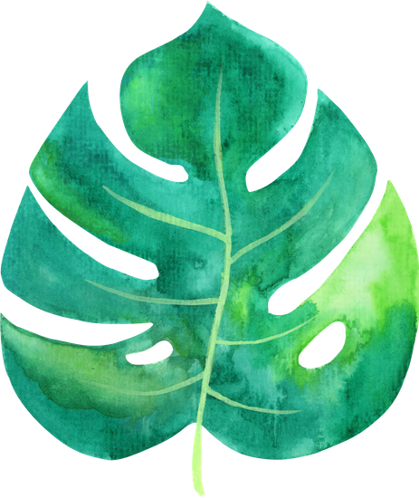 Tropical Leaf Watercolor - Tropic Tropical Leaf Png (463x550)