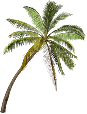 Para Salvar Clique Na Imagem - Chengcing Lake (305x402)