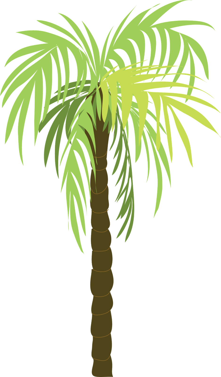 Read More - Folhas De Coqueirio Png (938x1600)