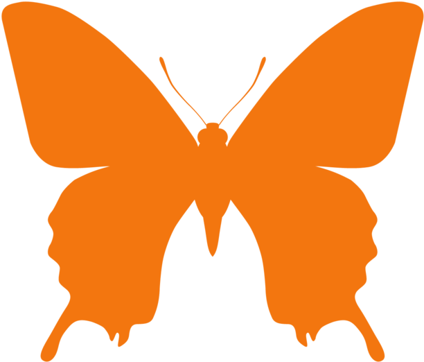 Butterfly Computer Icons The Little Guide To Butterflies - Butterfly Computer Icons The Little Guide To Butterflies (1000x910)