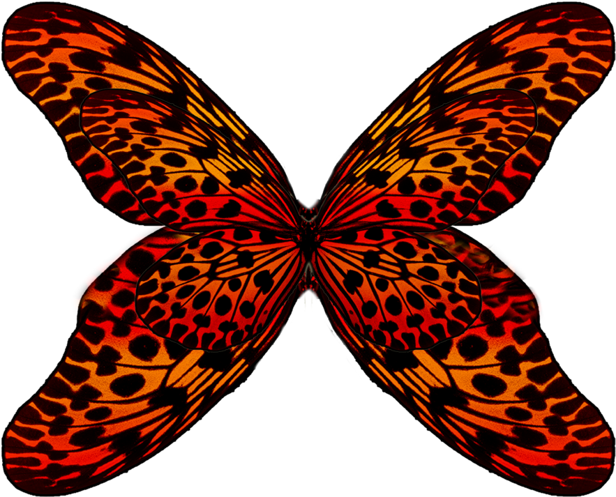 Wings Png By Moonglowlilly Wings Png By Moonglowlilly - Red Butterfly Wings Png (1024x819)