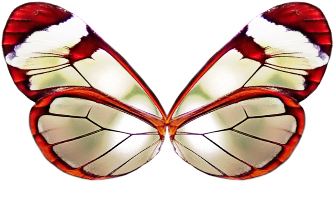 Png Wing 3 By Moonglowlilly - Red Butterfly Wings Png (900x562)