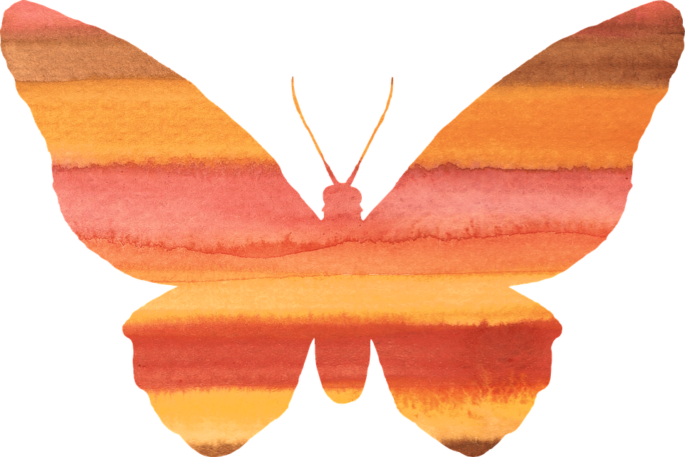 Red Butterfly Cliparts 11, Buy Clip Art - Watercolor Butterfly On Transparent Background (960x640)