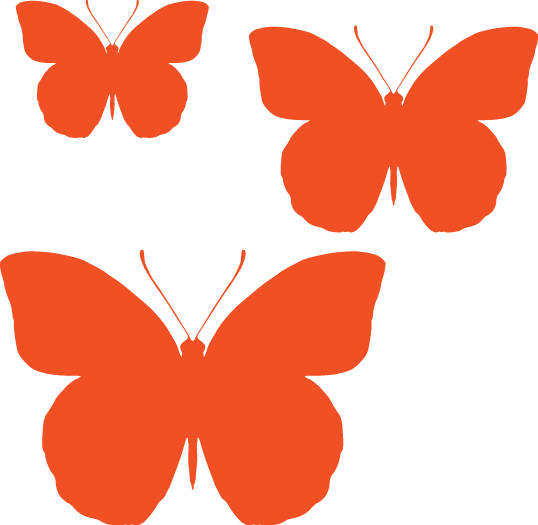 Butterflies - Coloured - Butterfly Vector Free (538x525)