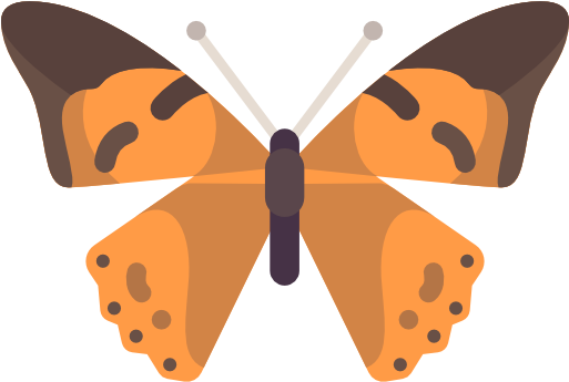 Butterfly Free Icon - Butterfly Free Icon (512x512)