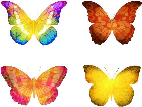 Butterflies Vector Png Hd - Butterfly Image Of Hd (626x626)