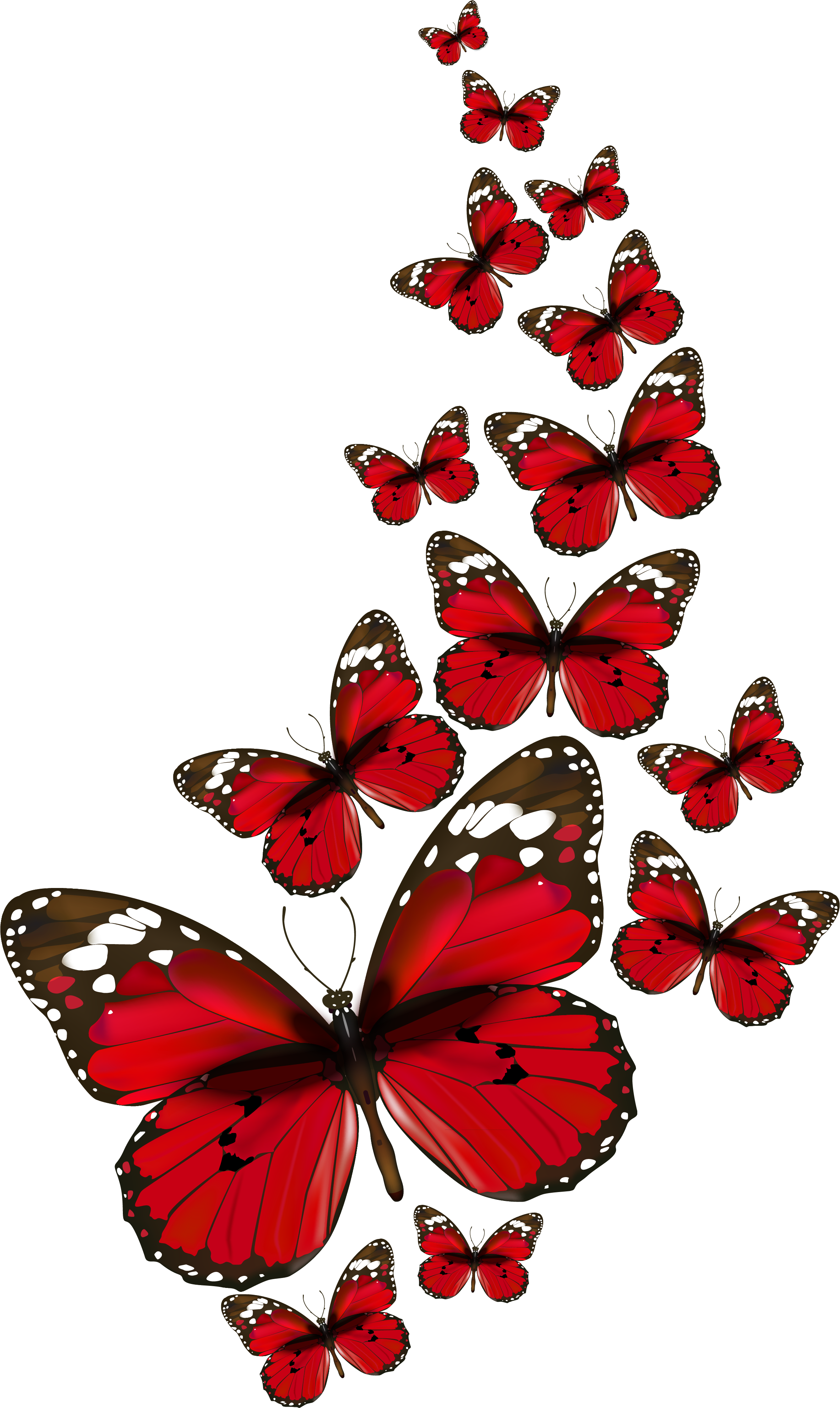 Papillons - Red Butterflies Png (2496x4129)
