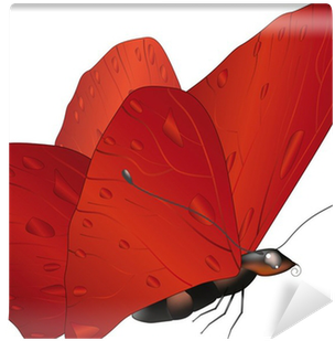 Vector Graphics (400x400)