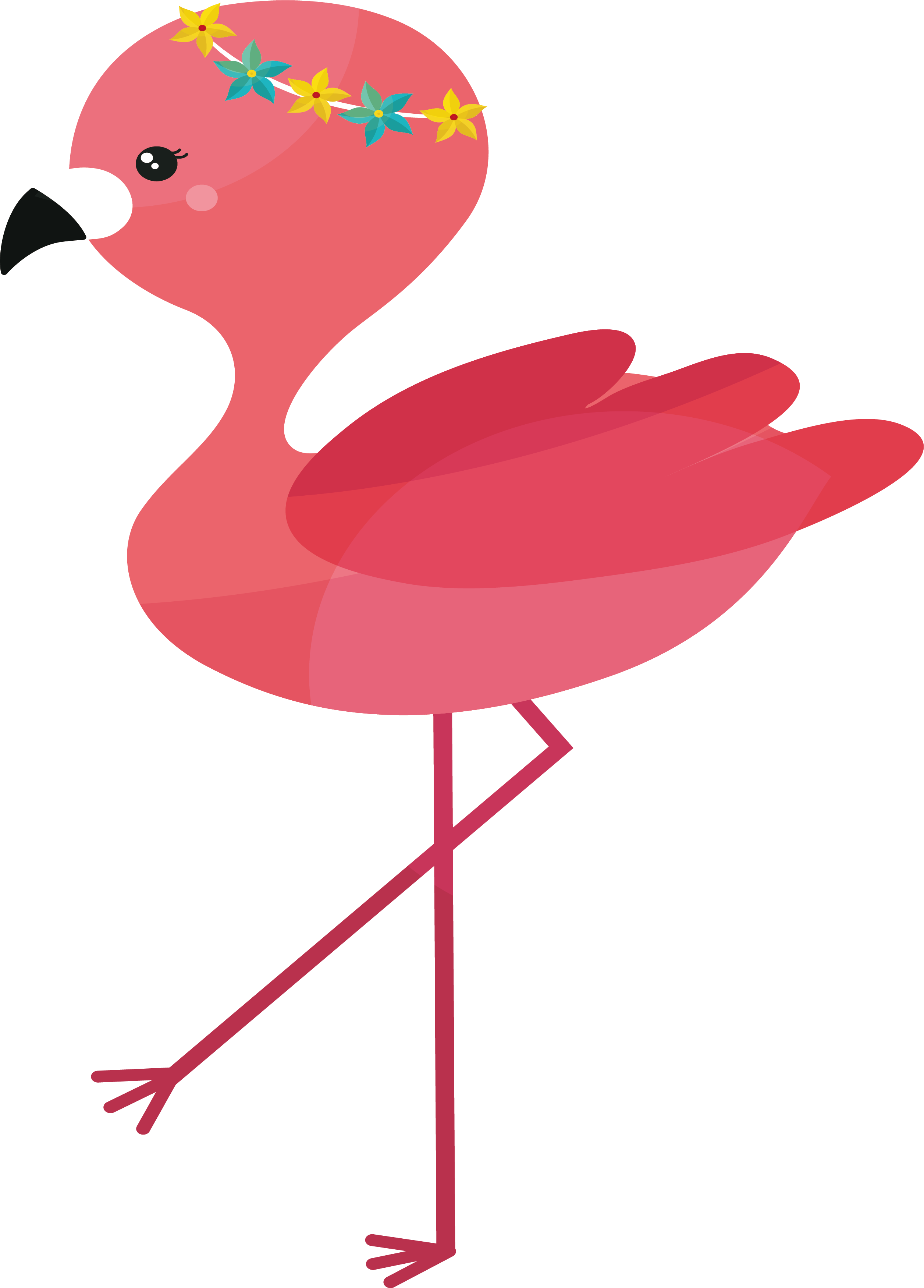 Flamingo Clip Art - Flamingo Em Png (2512x3500)