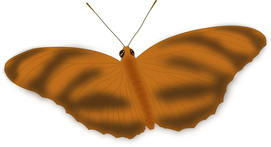 Ethereal Butterfly - Butterfly (958x519)