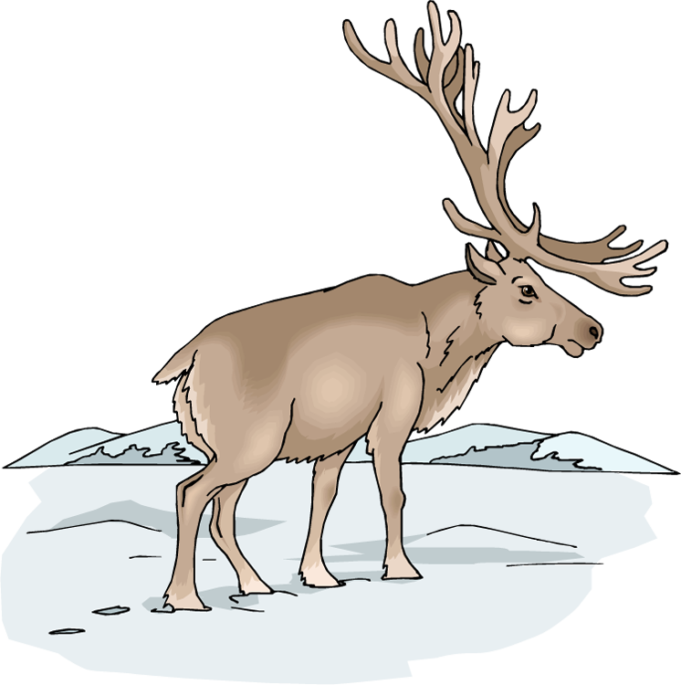 Free Moose Clipart - Animale Din Taigaua Siberiana (746x750)