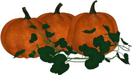 Pumpkin Clipart Pumpkin Vine - Pumpkin Vine Png (455x274)