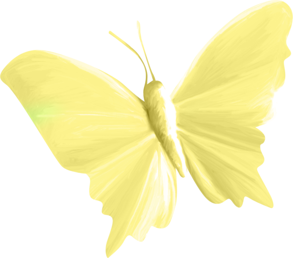 Butterfly Green Yellow - Butterfly Green Yellow (600x529)