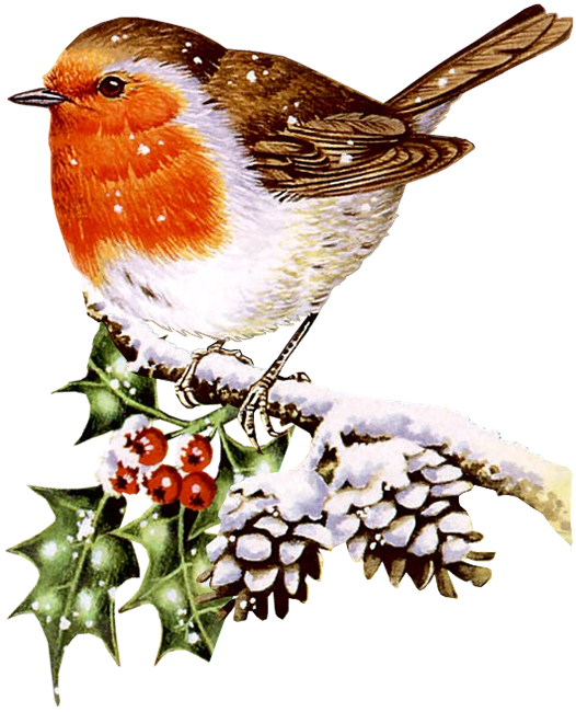 Decoupage - Birds Related To Christmas (526x650)