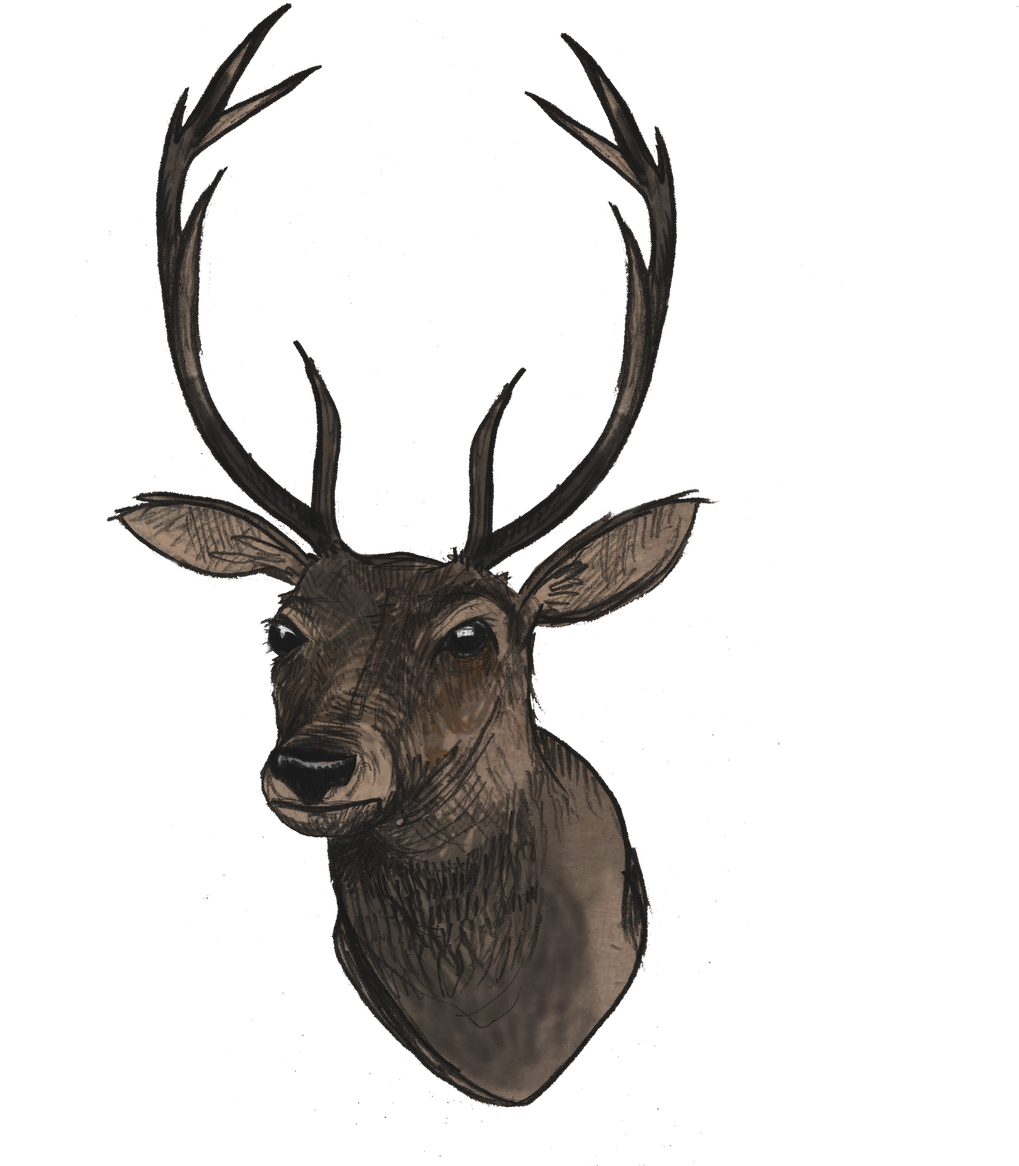 Reindeer Clip Art - Reindeer Clip Art (1600x1280)