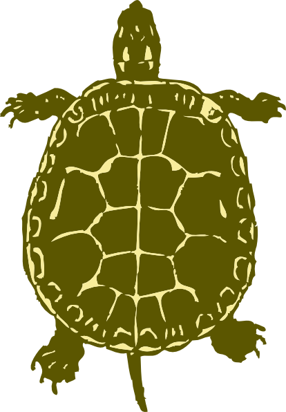 Turtle Clipart - Turtle Bird Eye View (414x596)