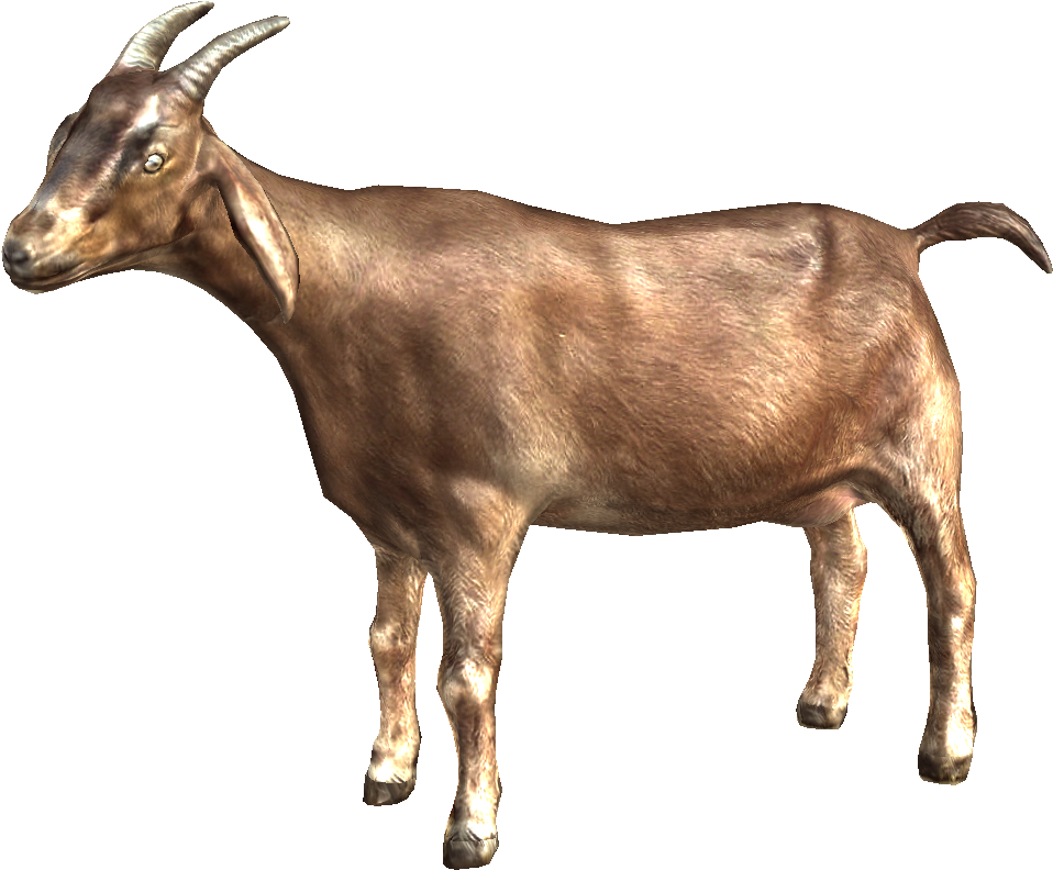 Goat Animated Gif Transparent (1200x844)