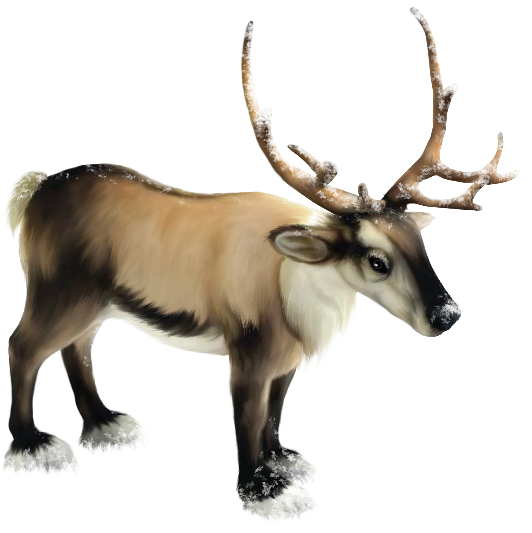 Reindeer - Plush Soft Toy Nordic Reindeer By Hansa. 50cm. (1988x1888)