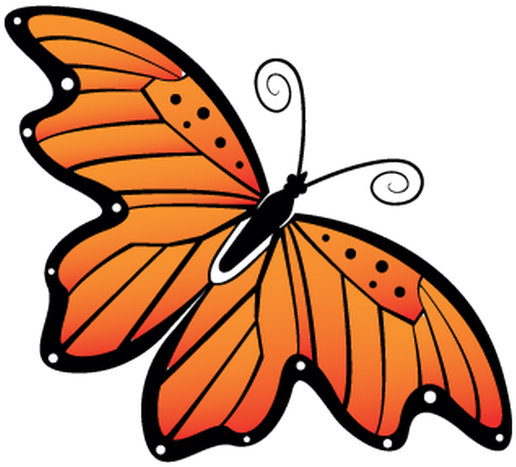 Papillon Clipart Orange Butterfly - Monarch Butterfly (800x800)