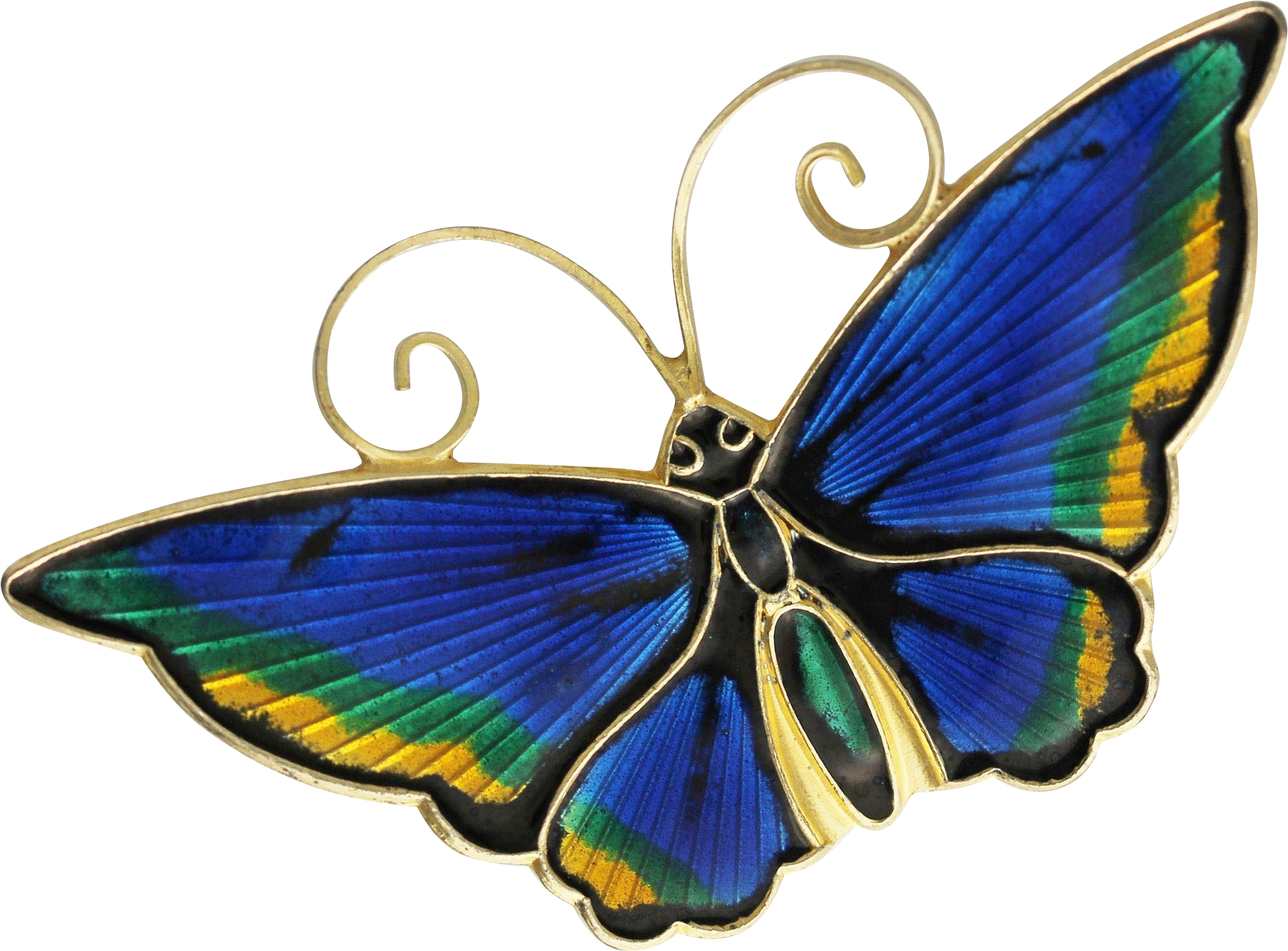 Monarch Butterfly Moth Nymphalidae Cobalt Blue - Monarch Butterfly Moth Nymphalidae Cobalt Blue (1961x1961)
