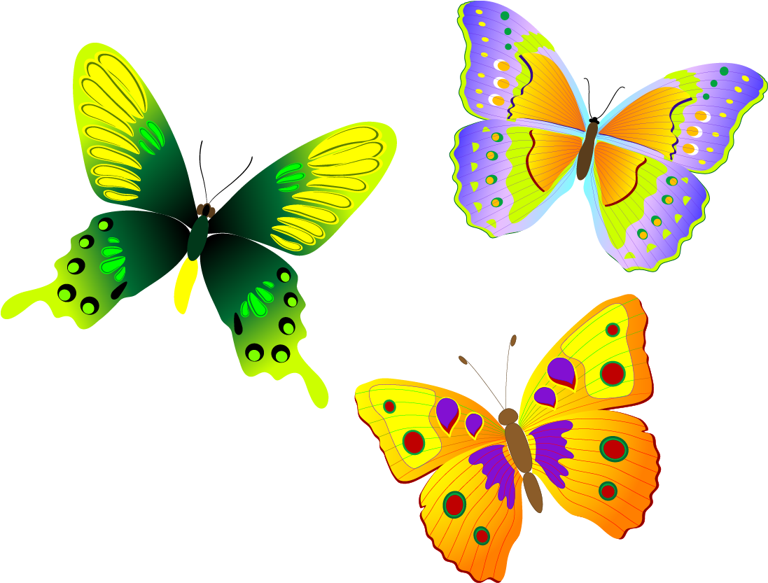 Monarch Butterfly Euclidean Vector - Coloring Book For Grown Ups: Gorgeous And Elegant Butterflies (1111x848)