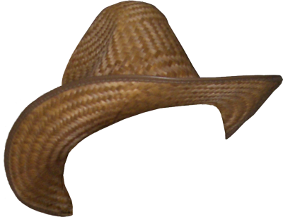 Cowboy Hat Face Shape Png - Cowboy Hat Transparent Background (400x308)