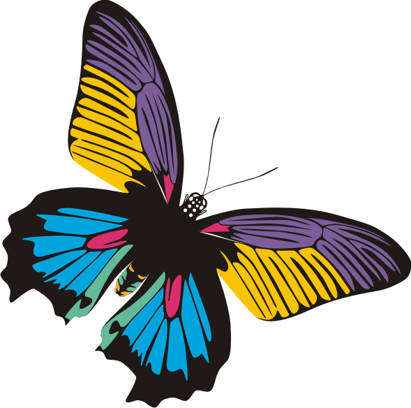 Kupu Kupu Adalah Haiwan Yang Sangat Indah Dan Menarik, - Butterflies (589x584)