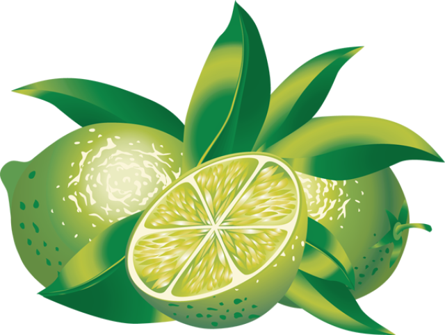 Citrus Clipart Healthy Fruit - Limes Clipart (640x483)