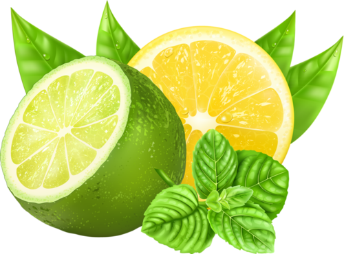 Lime Clipart Green Lemon - Yellow And Green Lemon (500x370)