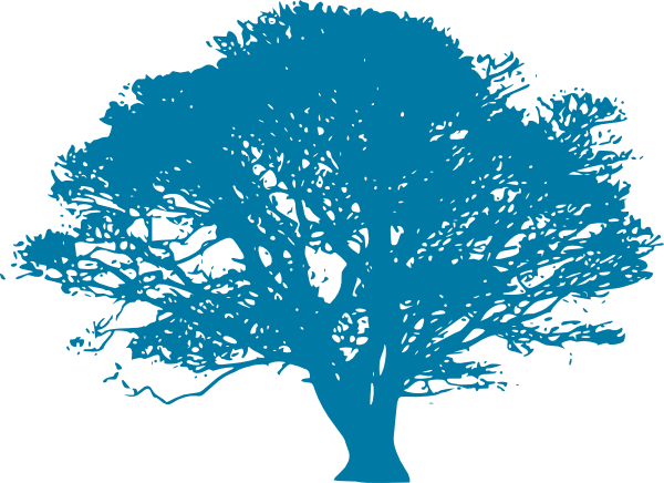 Oak Tree Clip Art Black And White (600x436)