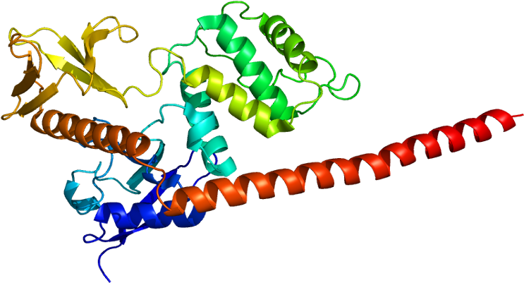 Moesin Protein (792x450)