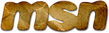 Msn,logo - Msn (512x512)