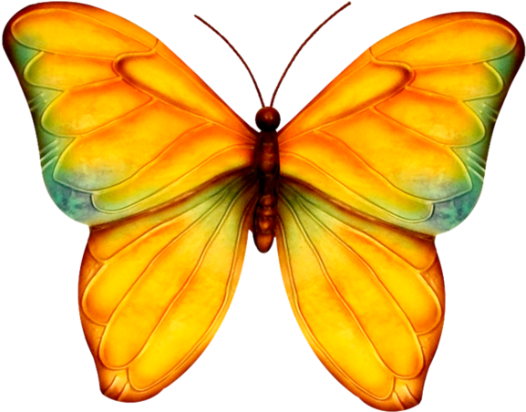 Butterfly - Papillons - Butterfliesbelle - .net (600x503)
