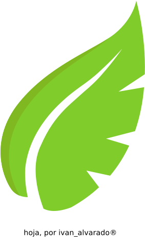 Free Hoja01 - Black Leaf Png (566x800)