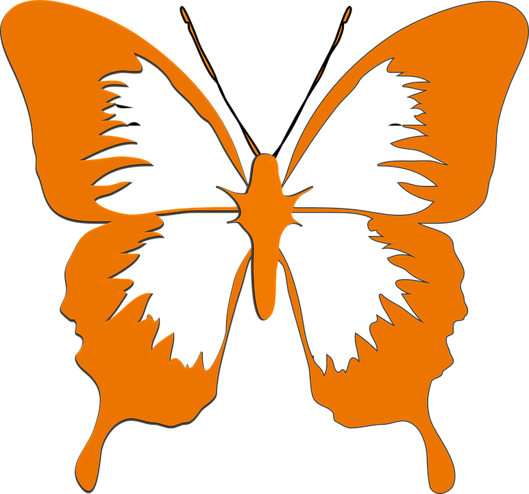 Animal Butterfly Cliparts 14, - Butterfly Black And White Clipart (772x720)