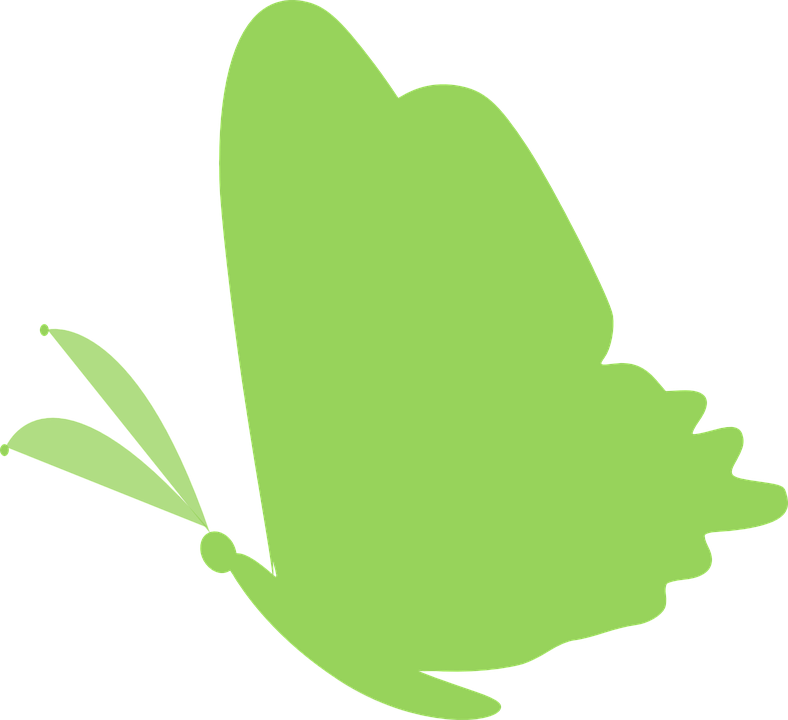 Green Butterfly Clipart - Green Butterfly Clip Art (788x720)