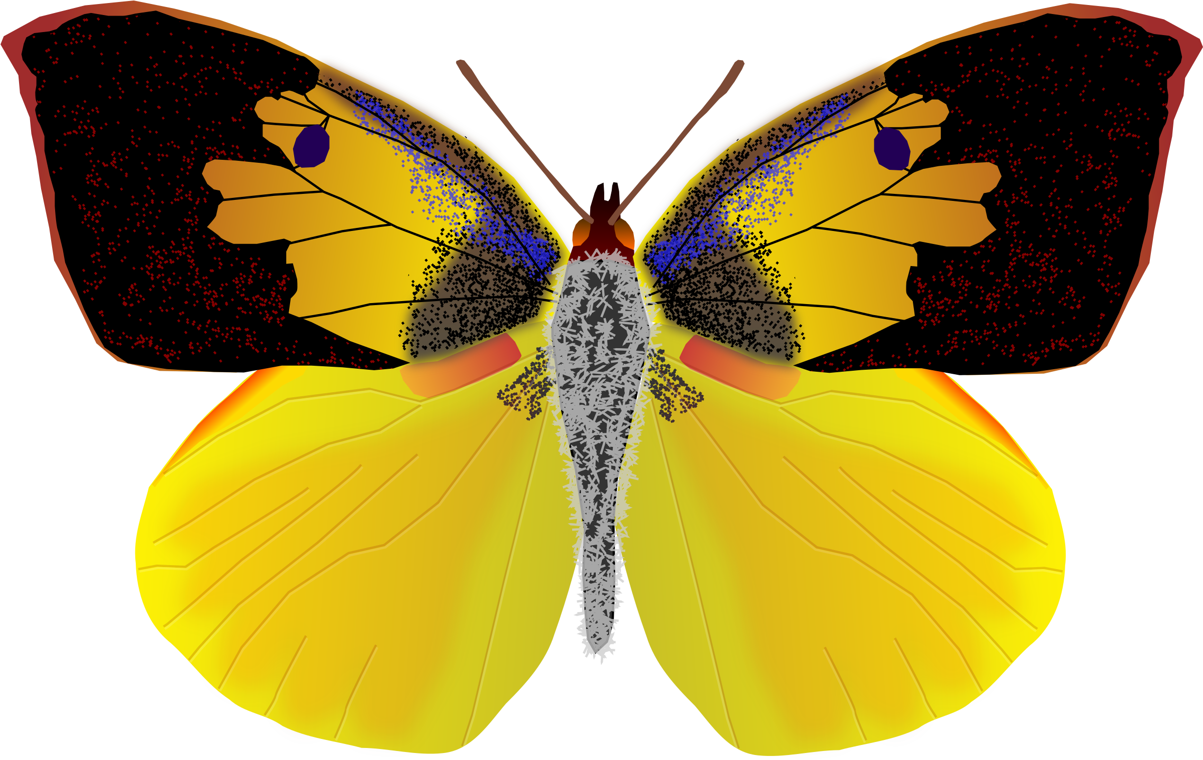 This Free Icons Png Design Of Dogface Butterfly - California Dog Face Butterfly (2400x1523)