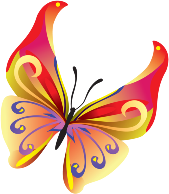 Butterfly Insect Clip Art - Butterfly Insect Clip Art (606x698)