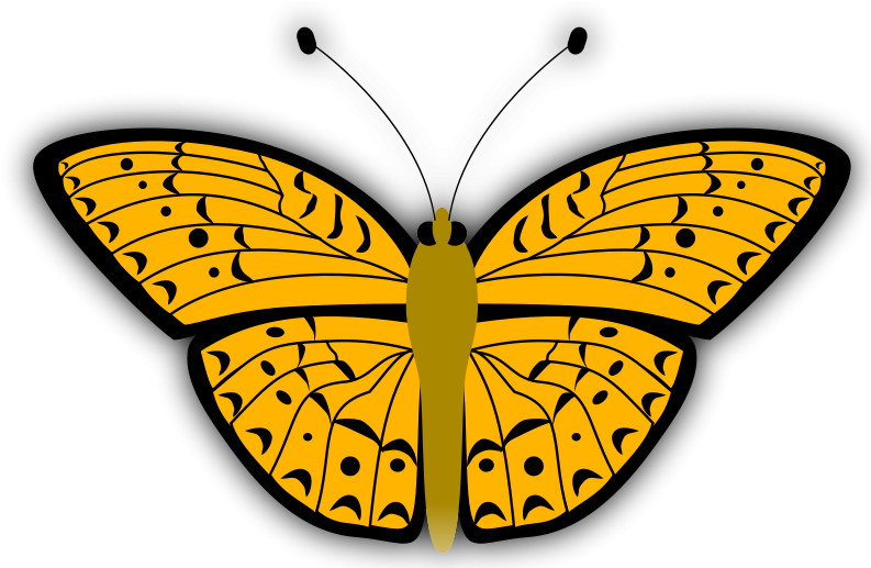 Free Golden Yellow Butterfly Clip Art - Orange Butterfly Shower Curtain (800x516)