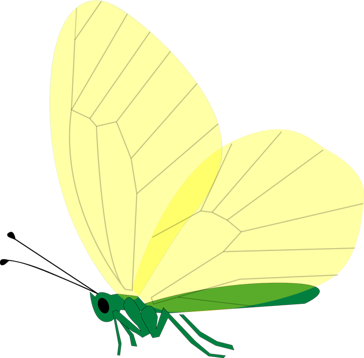 Green Butterfly Clipart 27, - Butterfly (732x720)