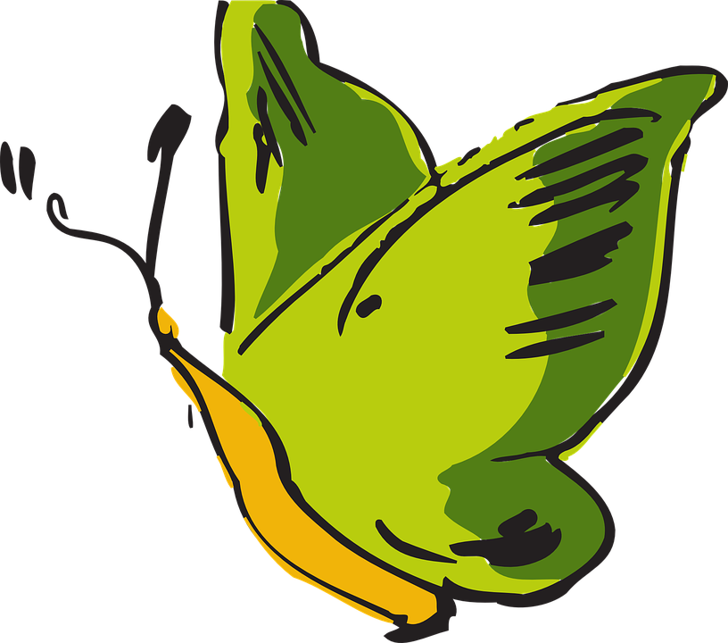 Green Butterfly Clipart 6, - Insect (816x720)