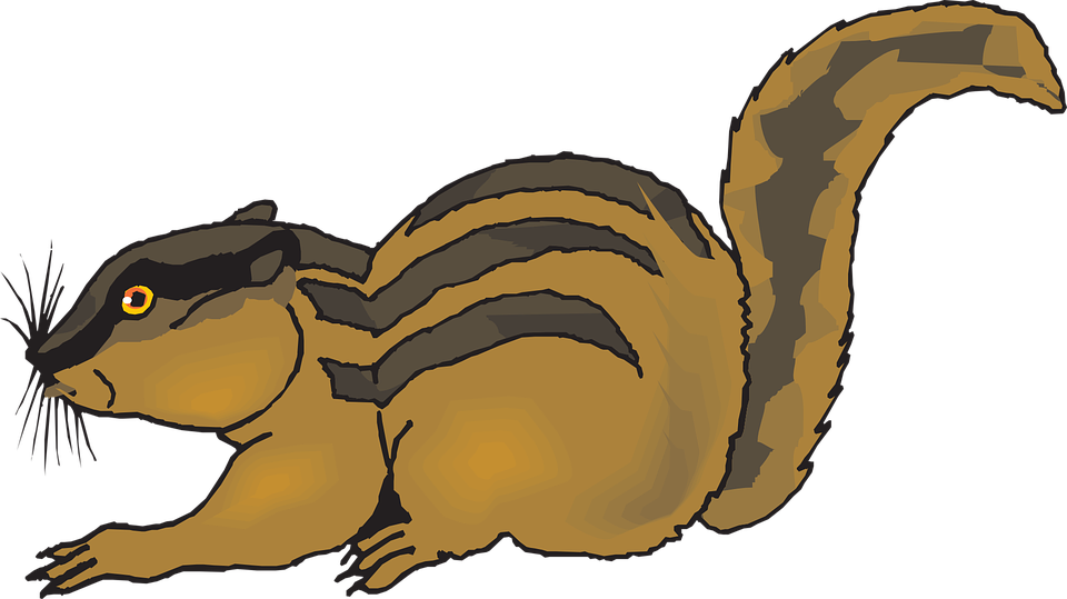 Animated Squirrel Clipart 24, Buy Clip Art - Chipmunk Clipart (960x539)